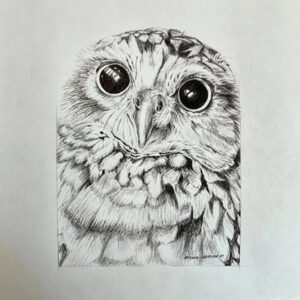 Burrowing owl