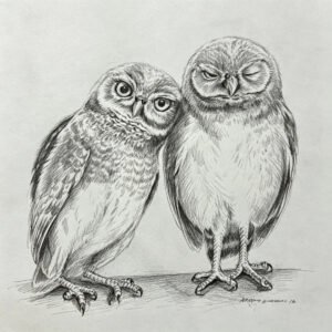 Burrowing owls